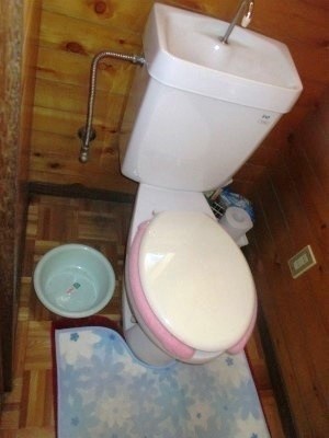 トイレを綺麗にしたいわ。