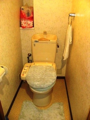 トイレの調子が悪くなってきたので取り替えるついでに内装のイメージを変えたいなぁ。