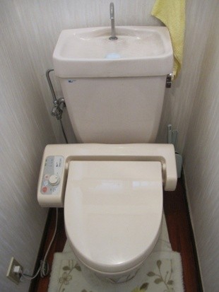 掃除が楽な一体型のトイレにしたいわ。