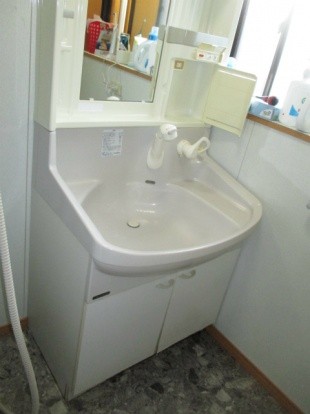 昔付けてもらった洗面台のシャワーホースから水漏れして、下台が水を吸ってしまったので取替したいわぁ。