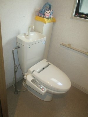 トイレを新しくきれいにしたいわ。
