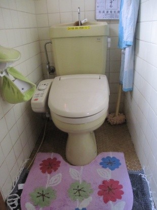 トイレが古くなってきたので新しくリノベーションしたいわ。
