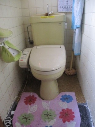 トイレが古くなってきたので新しくリノベーションしたいわ。