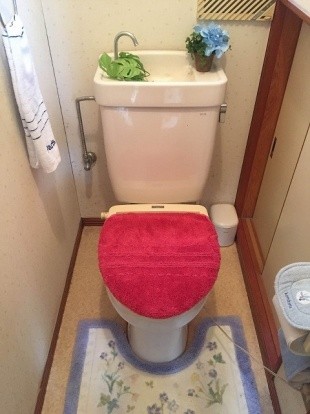 トイレから水漏れがするので取り替えたいわ。