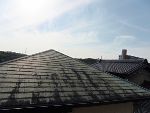 いつも家に帰るときに見える自宅の屋根の剥がれがずっと気になっています。