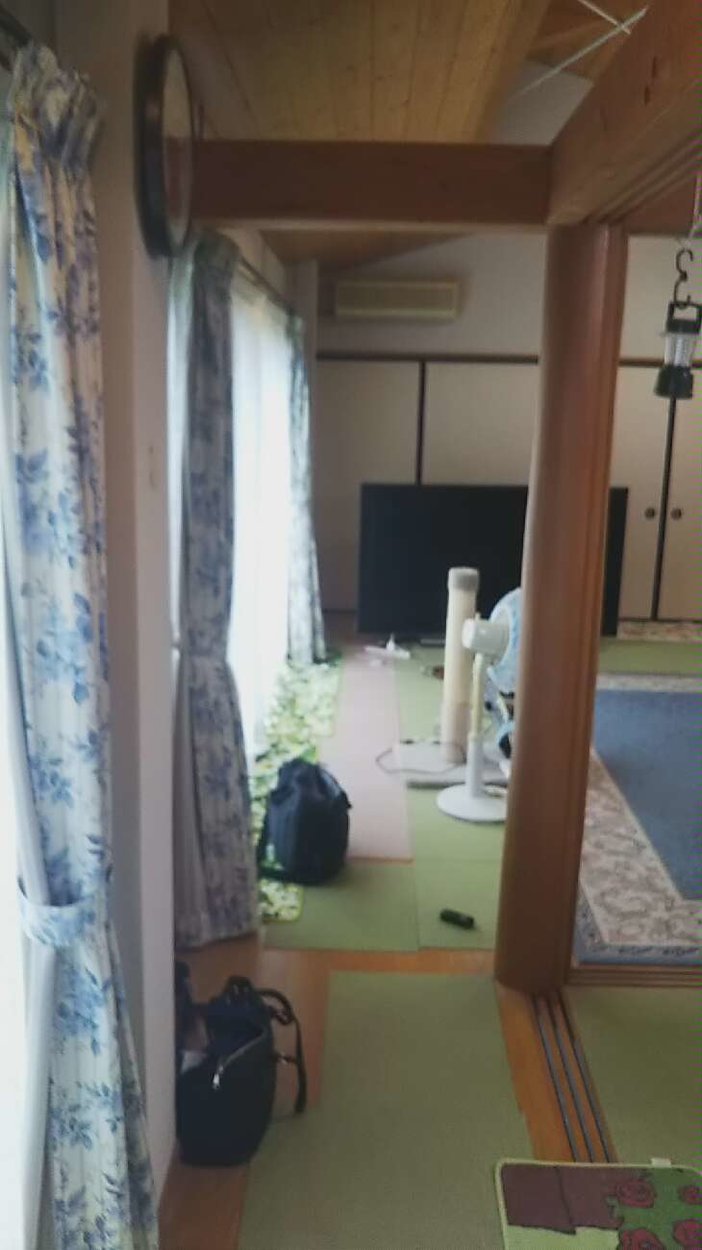 2匹いる猫の為に建具をつけたいです
