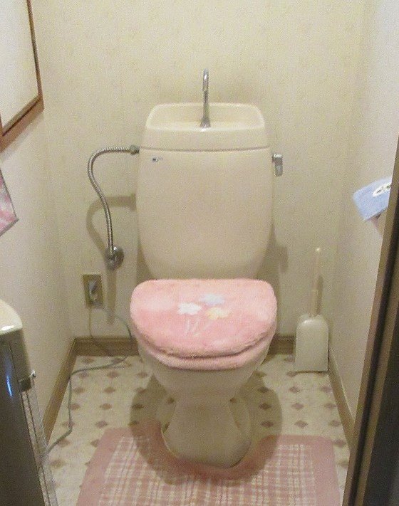 シャワートイレ付きの、トイレにしたいわ・・・