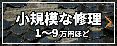 見て分かるもの（小規模）