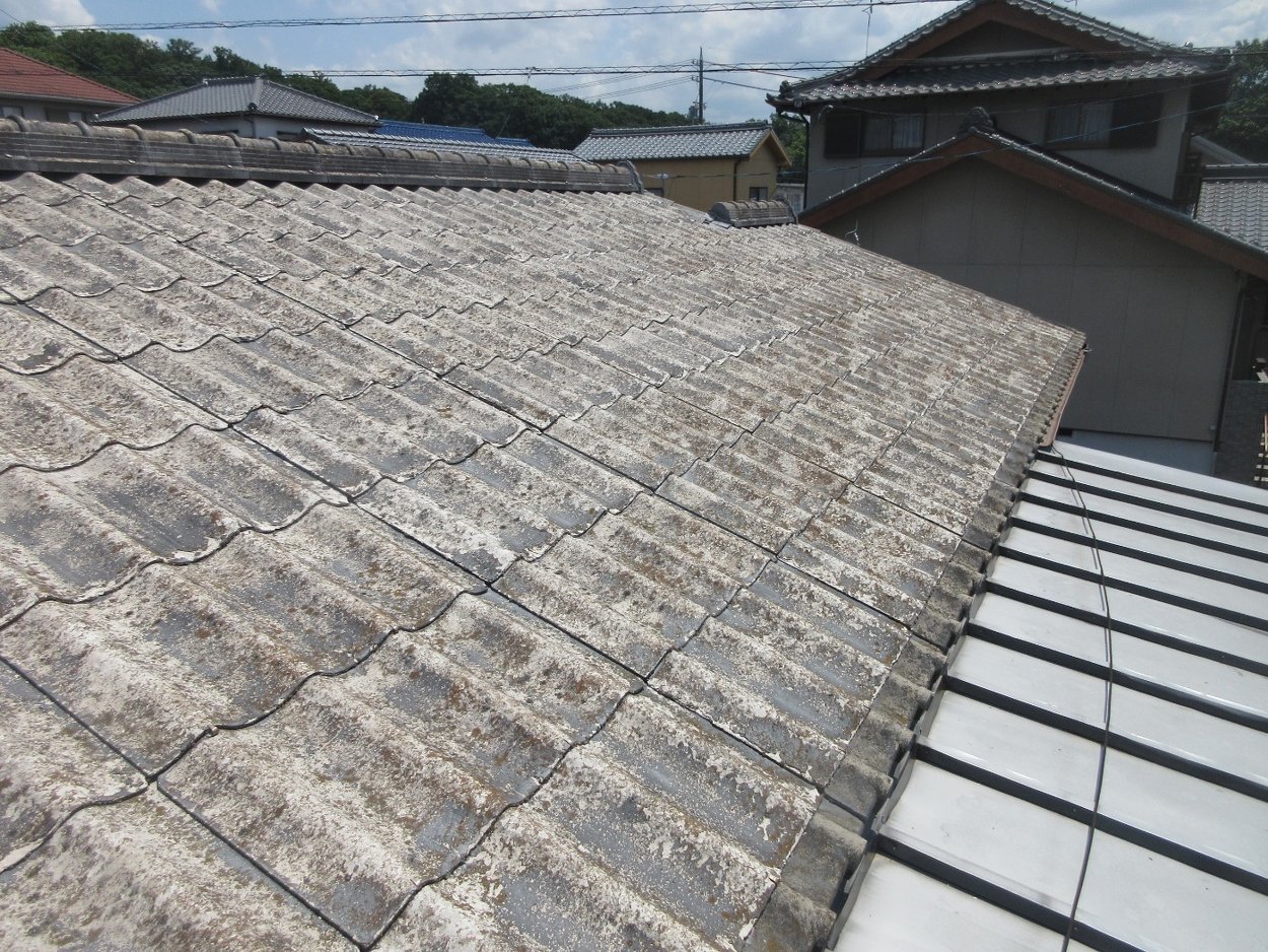 屋根から雨漏りしていて困っています。