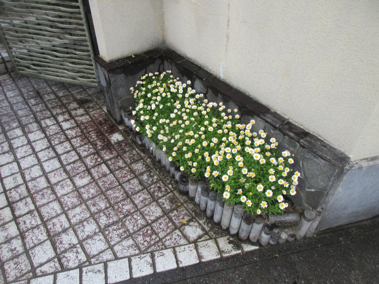 花壇を撤去してタイルを貼って欲しい