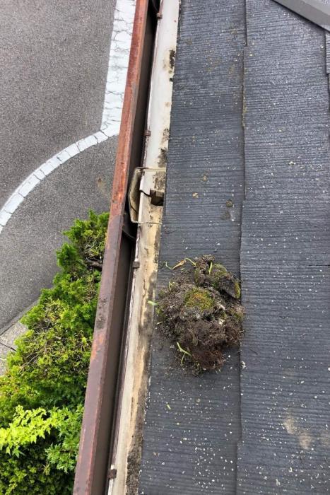 樋の補修工事