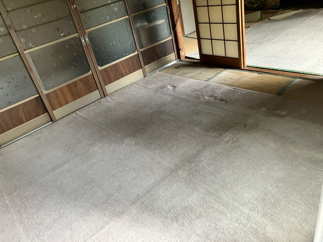 気が付いたら床がふかふかしてきたのです。