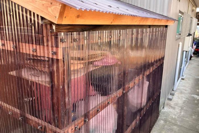 小屋のポリカの波板をお取替え（下地補修あり）