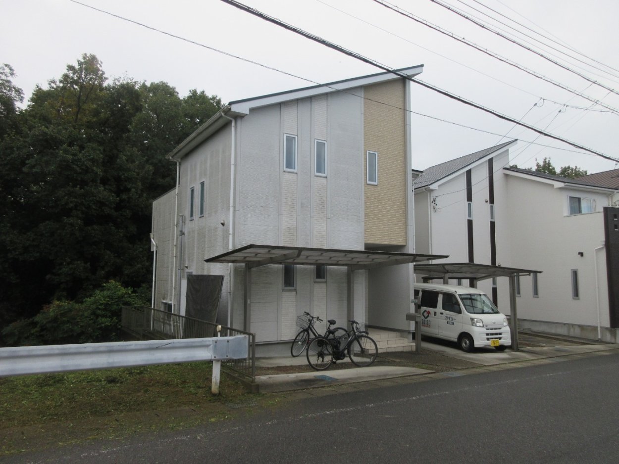 カビやコケが目立ってきています。