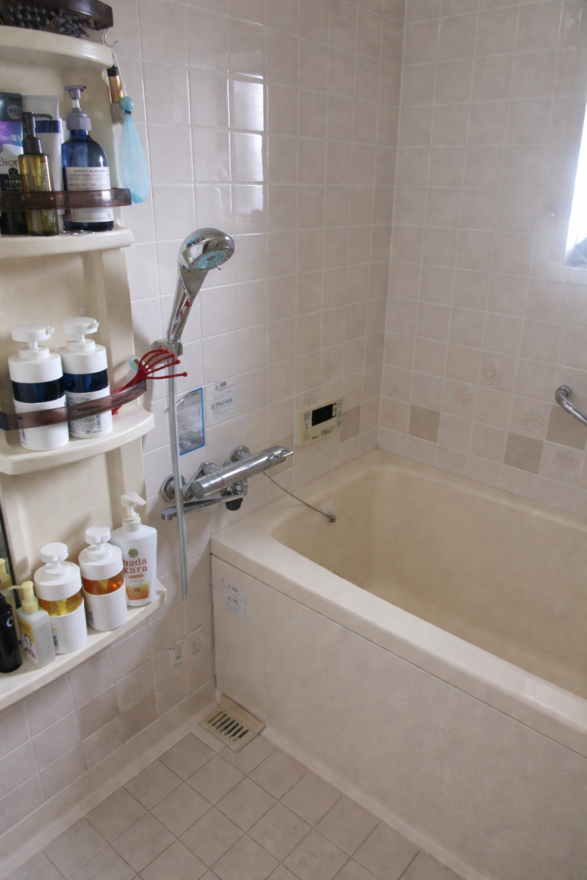 掃除が大変なのが困っている