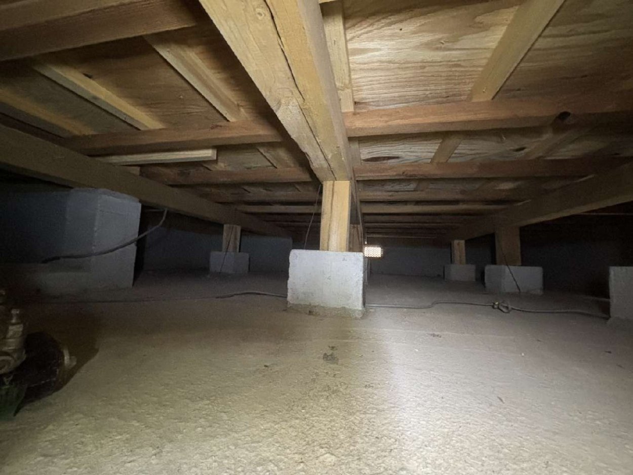 白蟻は定期的にやった方が良いかしら
