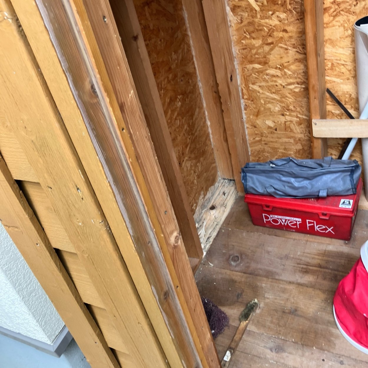 庭の小屋にシロアリが出ました！