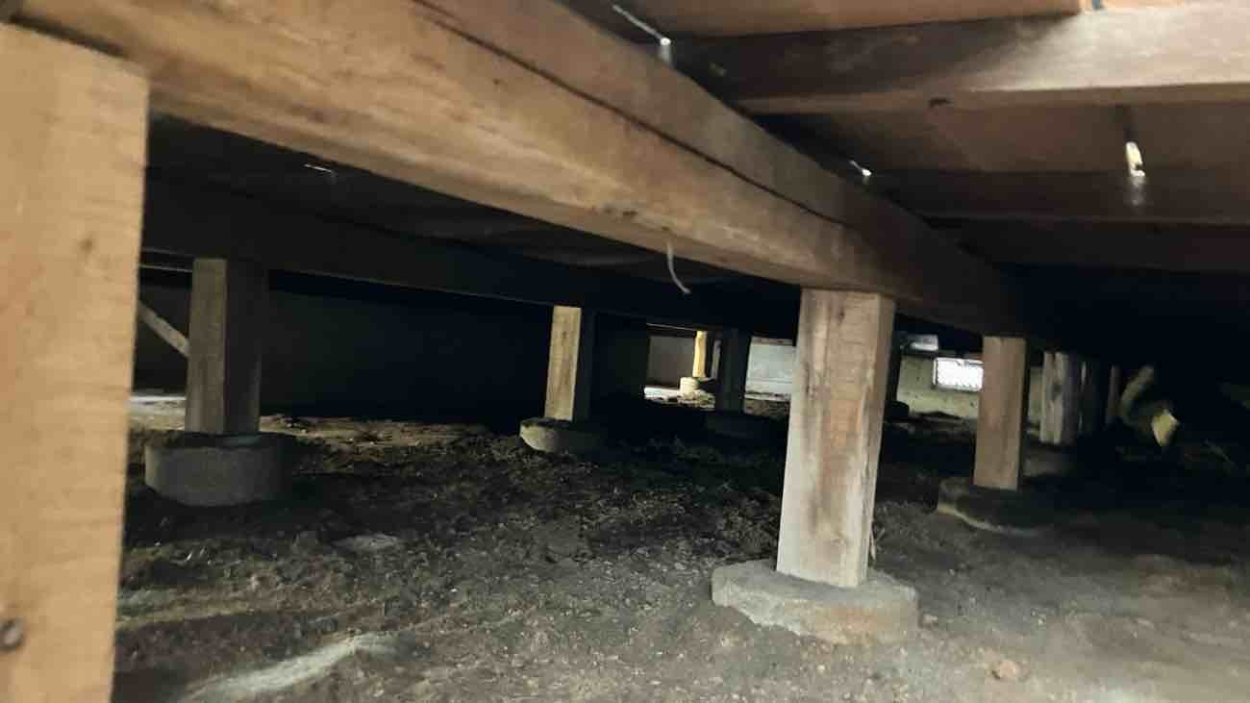 中古住宅で購入したのですが、そのあとからシロアリ工事をしてなくて