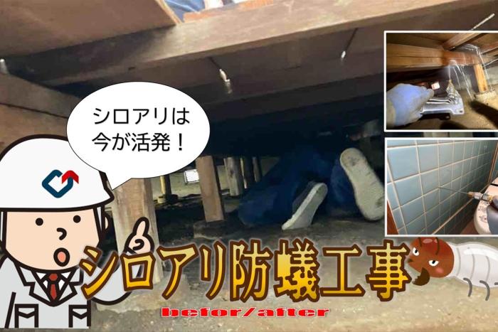 建物を守る必須工事！白蟻防蟻工事
