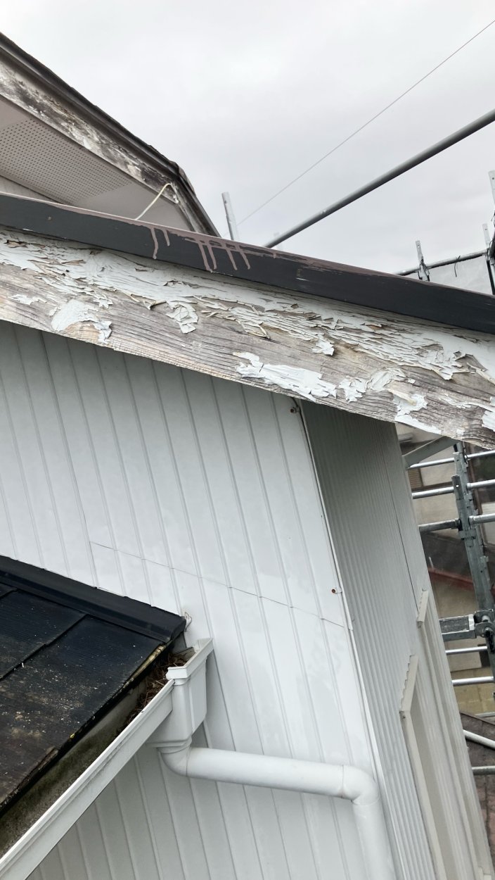 屋根の周りがボロボロなのが気になります。
